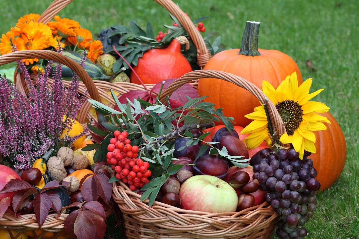 Saveur d 'automne