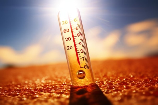 Illustration canicule